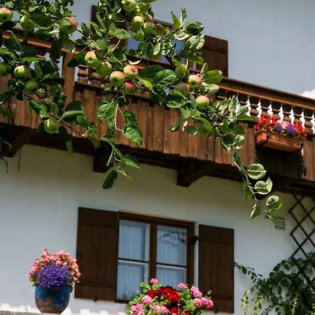 Haus Bergfreund ビショフスヴィーゼン