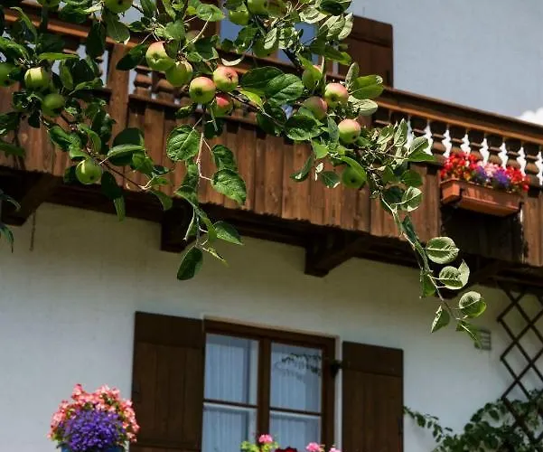 Haus Bergfreund Bischofswiesen